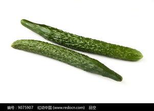 吃瓜娱乐的背景图片高清,吃瓜娱乐背后的视觉盛宴 第3张 吃瓜娱乐的背景图片高清,吃瓜娱乐背后的视觉盛宴 第3张